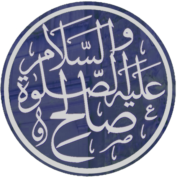 Файл:Salih.png